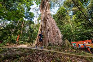 BIB: 
                            <button type="button" onclick="openModal(21898957)" class="btn btn-primary btn-sm float-right btn-popup" data-toggle="modal" data-target=".modal-high-quality">
                        <i class="fas fa-shopping-cart"></i> Add to Cart
                    </button>
                                            <button type="button" onclick="isThisMe(21898957, true)" class="btn btn-success btn-sm float-right btn-popup btn-isme hidden" data-toggle="tooltip" data-placement="bottom" title="นี่คือรูปของคุณใช่ไหม คลิกที่นี่เพื่อเอาเข้าอัลบั้ม">
                        <i class="fas fa-plus"></i> Add to album
                    </button>
                    <button type="button" onclick="isThisMe(21898957, false)" class="btn btn-warning btn-sm float-right btn-popup btn-isnotme hidden">
                        <i class="fas fa-ban"></i> Remove from album
                    </button>